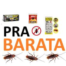 KIT PRA BARATAS Kelldrin SC25 Líquido + Barapil Pó + Gel Barakell Mata Baratas Esgoto - (Kit com 3 produtos =1 Barapil, 1 Gel Barakell e 1 Kelldrin SC) - C - Visão 4
