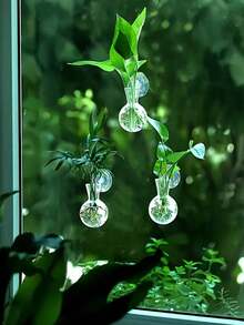 1/2pcs Wall-Mounted Transparent Hydroponic Vase, Suitable For Pothos Plants, Plastic Hanging Rack With Suction Cups, Ball-Shaped Vase, Suitable For Office And Home Decor, Home Gardening, Window Sill Plant Propagation - Clear - View 5