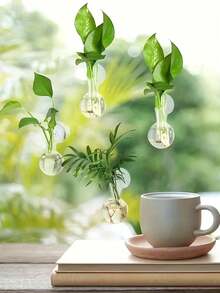 1/2pcs Wall-Mounted Transparent Hydroponic Vase, Suitable For Pothos Plants, Plastic Hanging Rack With Suction Cups, Ball-Shaped Vase, Suitable For Office And Home Decor, Home Gardening, Window Sill Plant Propagation - Clear - View 3