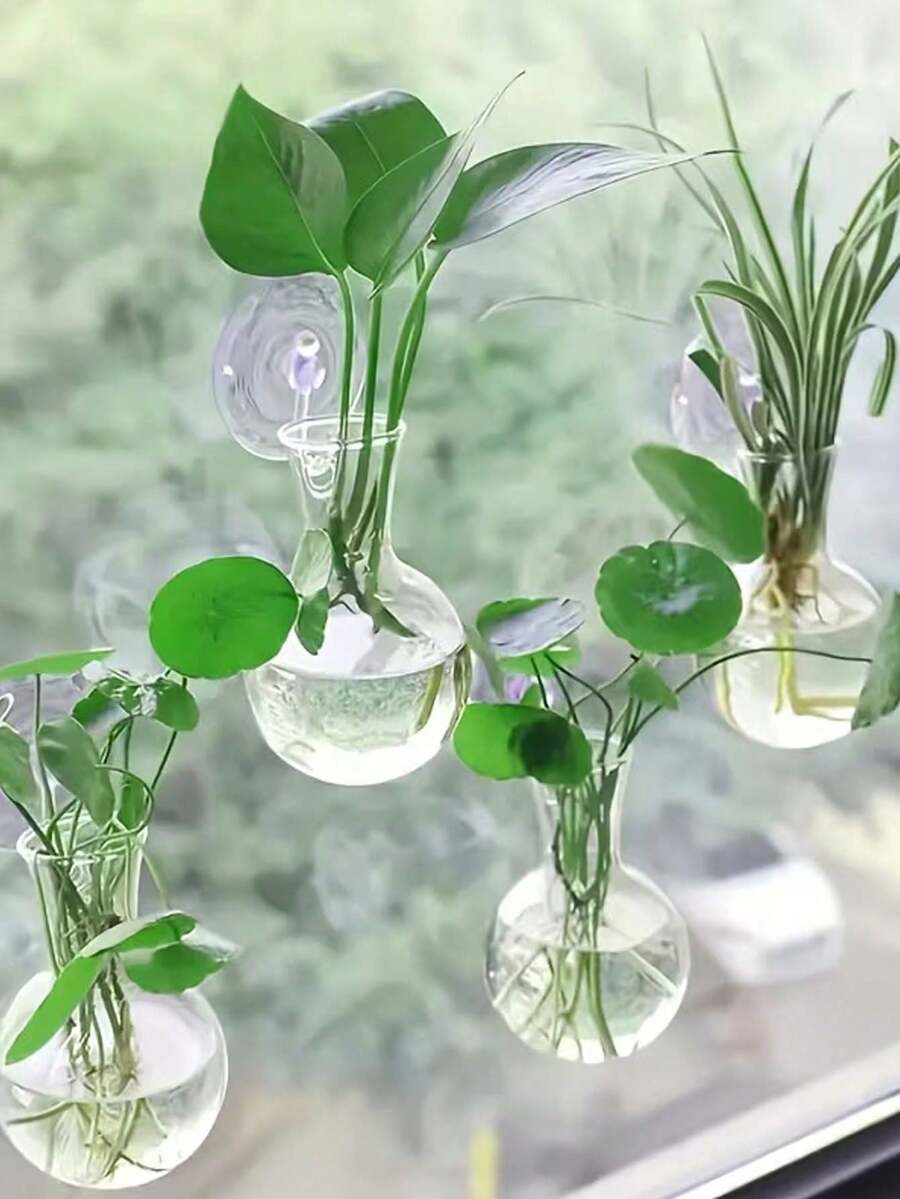 1/2pcs Wall-Mounted Transparent Hydroponic Vase, Suitable For Pothos Plants, Plastic Hanging Rack With Suction Cups, Ball-Shaped Vase, Suitable For Office And Home Decor, Home Gardening, Window Sill Plant Propagation - Clear - View 1