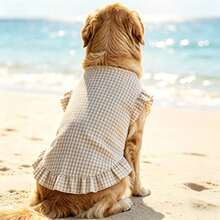 1pc Pet Plaid Dress, Cute Dress For Golden Retriever, Samoyed, Labrador Large Dogs - Light Grey - View 4
