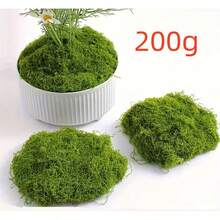 20-500g Artificial Moss Lawn, Realistic Faux Moss, Fake Moss Micro Landscape Arrangement, Lifelike Green Plant Lawn, Suitable For Micro Landscape, Green Plant Lawn, Potted Plant Window Sill Decoration, Landscape Design, Handmade DIY And Home Decor - Multiple Styles - View 15