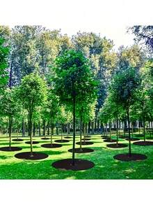 5pcs Thick Breathable Non-Woven Isolation Fabric, Multi-Size No Cutting Needed, Reusable Round Tree Planting Mat, Moisture Retention & Frost Protection Lawn Cover, Suppression, Root Protection, Garden Ground Cover Mat - A - View 2