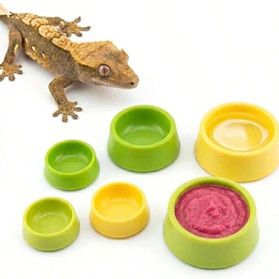 Gecko Fruit Puree Feeding Bowl For Jumping Spider, Mantis, Lizard, Cricket, Reptile Small Pet Food Dish And Water Bowl - Feeding Bowl - View 1