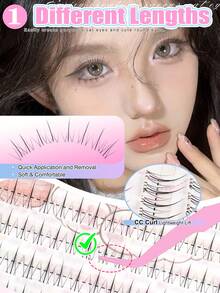 EYELASH EVOLUTION 6入組自黏式分段假睫毛（無需膠水），免膠水韓系偶像風假睫毛－全新輕量分段式（ACE Idol系列小火焰下睫毛），打造漫畫風美睫；大容量可重複使用假睫毛，DIY單簇睫毛，輕鬆打造精緻眼妝，免膠水自黏設計，佩戴簡單方便，輕盈舒適，適合日常妝容、節日派對、音樂節、演唱會等場合 - D - 查看 4