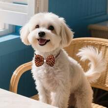 5/12pcs Fashionable Brown Dog Cat Bow Adjustable Pet Dog Bow Tie Dog Beauty Pet Accessories - Multicolor - View 8
