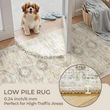 Alfombra de pasillo antideslizante para dormitorio, alfombra lavable con reverso de goma - Alfombra suave de pelo corto para cocina, lavandería, baño (61 x 244 cm, beige/marfil) - Gris - Ver 9