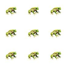 Green Tree Frog Enamel Pin Fashion Decorative Badge Ornaments Lapel Bag Badges Gifts - Green - View 10