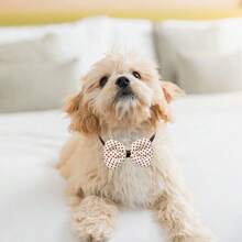 5/12pcs Fashionable Brown Dog Cat Bow Adjustable Pet Dog Bow Tie Dog Beauty Pet Accessories - Multicolor - View 7