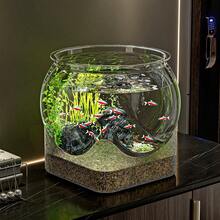 1pc Sturdy Transparent Round Fish Tank, Desktop Aquarium, Anti-Drop And Anti-Tip, Suitable For Turtles And Small Fish. Natural Stone Design, Versatile Use, Indoor/Outdoor Decorative Fish Tank. - Multicolor - View 6
