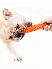 Durable Carrot-Shaped Dog Toy With Rope Knot - Interactive Teething Toy For Medium Dogs - Multicolor - View 3