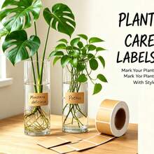 3pcs Kraft Paper Blank Label Sticker, 4 Sizes Available, Handwritten Self-Adhesive Label, Suitable For Kitchen Storage, Storage Cans, Drinks, Plants, Skin Care Products Classification Roll Design, Tear With Use, Home Shop Storage Artifact. - Multicolor - View 2