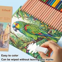 24/36/48/72 Colored Pencils For Adult Coloring Books,Premium Coloring Pencils Set,Quality Oil Based Colored Pencils,Holiday Gifts For Artist Drawing,For Professional Artistic Use - Colored Pencils - View 8