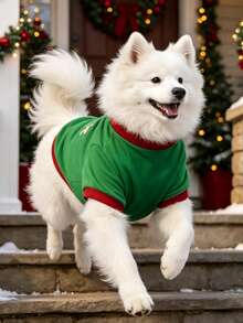 YOKLUN Christmas Fun Pet Sweatshirt, Small To Medium Dog Shiba Inu Autumn/Winter Holiday Couple Outfit Dog Clothes - Green - View 5