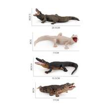 1pc Realistic Crocodile Animal Model Decorative Figurine - Multicolor - View 6
