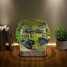 1pc Sturdy Transparent Round Fish Tank, Desktop Aquarium, Anti-Drop And Anti-Tip, Suitable For Turtles And Small Fish. Natural Stone Design, Versatile Use, Indoor/Outdoor Decorative Fish Tank. - Multicolor - View 9