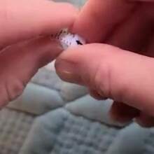 1件裝戒指尺寸測量工具,可重複使用塑膠手指尺寸量尺,清晰準確的珠寶尺寸製作工具,1-17號美規戒指尺寸測量裝置 - A - 查看 8