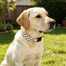 Dog Collar White Black Polka Dot Stripe Dog Collar Adjustable Soft Dog Collars For Small Medium Large Girl Boy Dogs - White - View 6