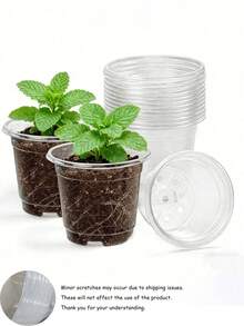 Transparent Plastic Plant Nursery Pots With Drainage Holes, Suitable For Indoor Succulents, Seed Germination, Flower Seedlings, Cuttings, Root Growth Observation, Visible Structure - Multicolor - View 11