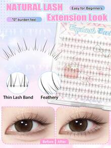 EYELASH EVOLUTION 6入組自黏式分段假睫毛（無需膠水），免膠水韓系偶像風假睫毛－全新輕量分段式（ACE Idol系列小火焰下睫毛），打造漫畫風美睫；大容量可重複使用假睫毛，DIY單簇睫毛，輕鬆打造精緻眼妝，免膠水自黏設計，佩戴簡單方便，輕盈舒適，適合日常妝容、節日派對、音樂節、演唱會等場合 - D - 查看 6