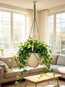 1pc/2pcs Elegant Lace Plant Hanging Basket, Hanging Net, Plant Hanging Basket With Wooden Beads - No Tassels, Durable Fabric Hanging Basket, Suitable For Indoor And Outdoor, Small Plants, Outdoor Flower Pot Stand | Decorative Hanging | Wooden Beads Accents, Hanging Plant Stand - Multicolor - View 8