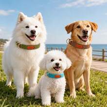Double D-Ring Heavy-Duty Dog Collar, Comfortable Neoprene Lining Pet Collar To Protect Fur, Vintage Style Woven Collar, Adjustable Pet Neck Strap, Suitable For Small And Medium Dogs For Home/Outdoor/Hiking - Green - View 11