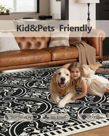 Latte&Fog Alfombras de 153 x 215 cm para Sala de Estar y Dormitorio,Moderna Abstracta Lavable, de Pelo bajo Antideslizante Estilo Boho para Sala de Estar, Oficina, Dormitorio(Negro 5x7ft) - Plateado - Ver 10
