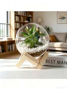 1pc Round Glass Container With Stand And Curved Slanted Rim, Suitable For Miniature Landscape, Succulents, Potted Plants/Outdoor DIY, Water Garden, Room Decor, Home Decor - A - View 4