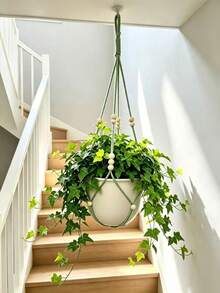 1pc/2pcs Elegant Lace Plant Hanging Basket, Hanging Net, Plant Hanging Basket With Wooden Beads - No Tassels, Durable Fabric Hanging Basket, Suitable For Indoor And Outdoor, Small Plants, Outdoor Flower Pot Stand | Decorative Hanging | Wooden Beads Accents, Hanging Plant Stand - Multicolor - View 11