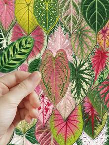 50pcs Colorful Artistic Plant Leaf Stickers PET Material For Adults Teens Sticker Enthusiasts Scrapbooking, Notebooks Laptops Phone Cases Luggage And Guitar Decorations Stickers - A - View 7