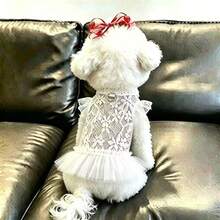 1pc Pet Dress, Cute Summer Cooling Dog Clothes, Thin Lace Puff Princess Dress For Small Dogs, Teddy, Breathable - White - View 8