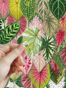 50pcs Colorful Artistic Plant Leaf Stickers PET Material For Adults Teens Sticker Enthusiasts Scrapbooking, Notebooks Laptops Phone Cases Luggage And Guitar Decorations Stickers - A - View 8