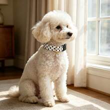 Dog Collar White Black Polka Dot Stripe Dog Collar Adjustable Soft Dog Collars For Small Medium Large Girl Boy Dogs - White - View 4