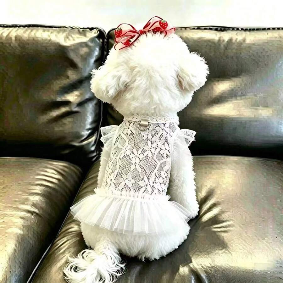1pc Pet Dress, Cute Summer Cooling Dog Clothes, Thin Lace Puff Princess Dress For Small Dogs, Teddy, Breathable - White - View 1
