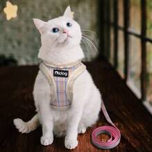 Nylon Thermal Lined Dog Harness & Leash Set, Warm Chest Harness For Autumn/Winter - Multicolor - View 12