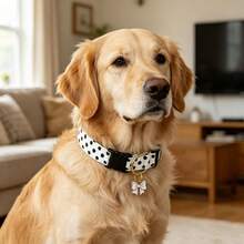 Dog Collar White Black Polka Dot Stripe Dog Collar Adjustable Soft Dog Collars For Small Medium Large Girl Boy Dogs - White - View 3
