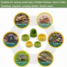 Gecko Fruit Puree Feeding Bowl For Jumping Spider, Mantis, Lizard, Cricket, Reptile Small Pet Food Dish And Water Bowl - Feeding Bowl - View 2
