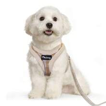 Nylon Thermal Lined Dog Harness & Leash Set, Warm Chest Harness For Autumn/Winter - Multicolor - View 9
