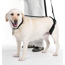Supporting Belts For The Back Legs Designed For Elderly Dogs, Disabled Dogs And Injured Dogs, Post-Surgery Rehabilitation Walking Assistance Belts, Dog Leashes, Walking Assistance Ropes. Collar Leash And Pendant Dog Set (For Two-In-One Use) - Multicolor - View 15