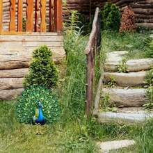 Cross-Border Peacock Garden Stake 2D Tail Decoration For Outdoor Lawn And Flower Pot Accent, Artistic Home Decor Valentine's Day Gift - A - View 3
