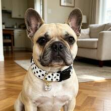 Dog Collar White Black Polka Dot Stripe Dog Collar Adjustable Soft Dog Collars For Small Medium Large Girl Boy Dogs - White - View 2