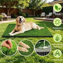 Césped Artificial Alfombra 2m x 5m Pasto Sintético Suave, Impermeable para Patio, Terraza, Decoración Exterior, Mascotas y Zonas de Juegos - Alfombra de césped 2*5m - Ver 4