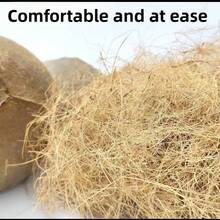 50g/250g/500g/800g Coconut Fiber, Suitable For Birds, Craft Projects, Can Be Used As Parrot Nesting Material, Provides Comfortable Bedding For Nest Boxes, Perfect For Nesting And Creating Hiding Spots - Z - View 6