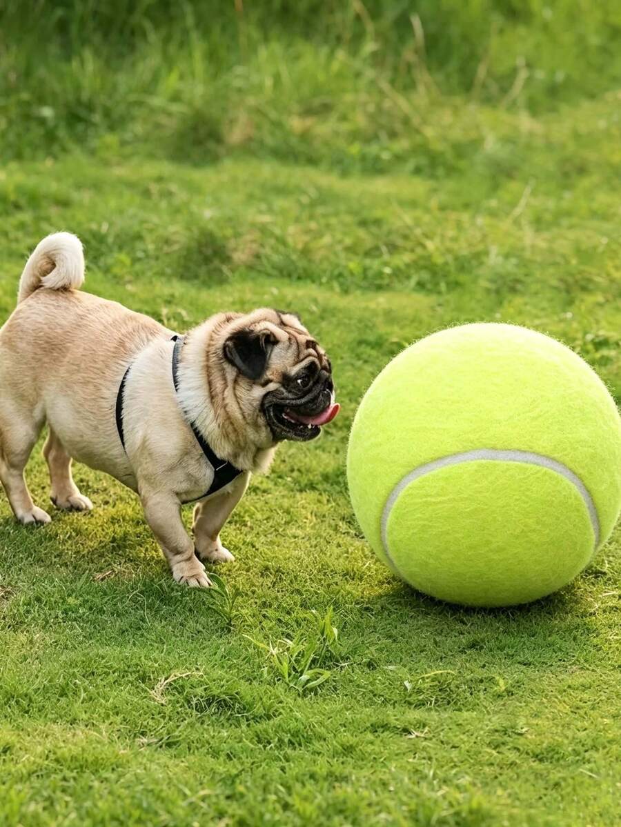 耐用狗咬玩具 高彈性互動遊戲球 適合所有犬種 潔牙訓練球 趣味設計寵物磨牙球 - 彩色 - 查看 1
