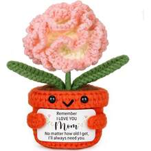 1pc Handmade Crochet Carnation Potted Plant, Cute Knitted Flower Pot With Encouragement Card, Handmade Knit Ornament, Mother's Day Gift For Mom, Desk Decor, Birthday Gift For Mother - Multicolor - View 1