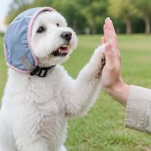 Pet Dog Ear Muffs Calming Head Cover Anti-Startle Noise Reduction Soundproof Summer Swimming Waterproof Calming Dog Ear Muffs - Blue - View 4