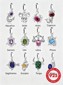 HuooNew 1pc 925 Sterling Silver Abstract Zodiac Animal Design CZ Pendant, Versatile DIY Beading Necklace Charm For Men And Women, Commemorative Gift - Silver - View 1