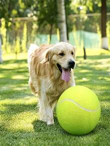 耐用狗咬玩具 高彈性互動遊戲球 適合所有犬種 潔牙訓練球 趣味設計寵物磨牙球 - 彩色 - 查看 2