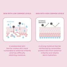 Ceramide Facial Toner, Hydrates And Repairs Skin Barrier - Multicolor - View 6