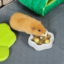 ITANDME Pumice Flower-Shaped Small Pet Food Bowl, Naturally Textured Surface, Multi-Purpose Cage Accessory Suitable For Guinea Pigs, Rabbits, And Other Small Pets And Small Birds - View 10